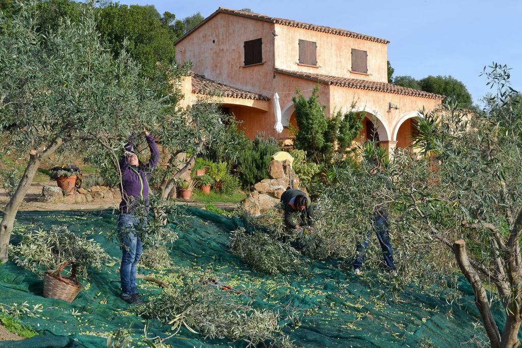 Nurazzolas Villaputzu Bagian luar foto