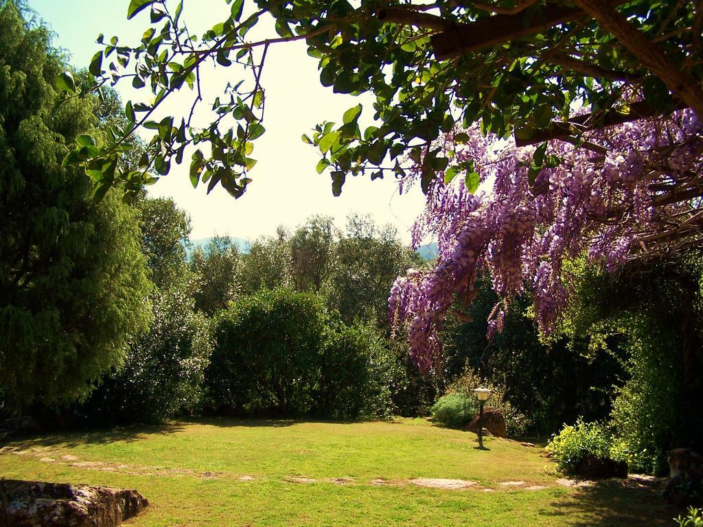 Nurazzolas Villaputzu Bagian luar foto