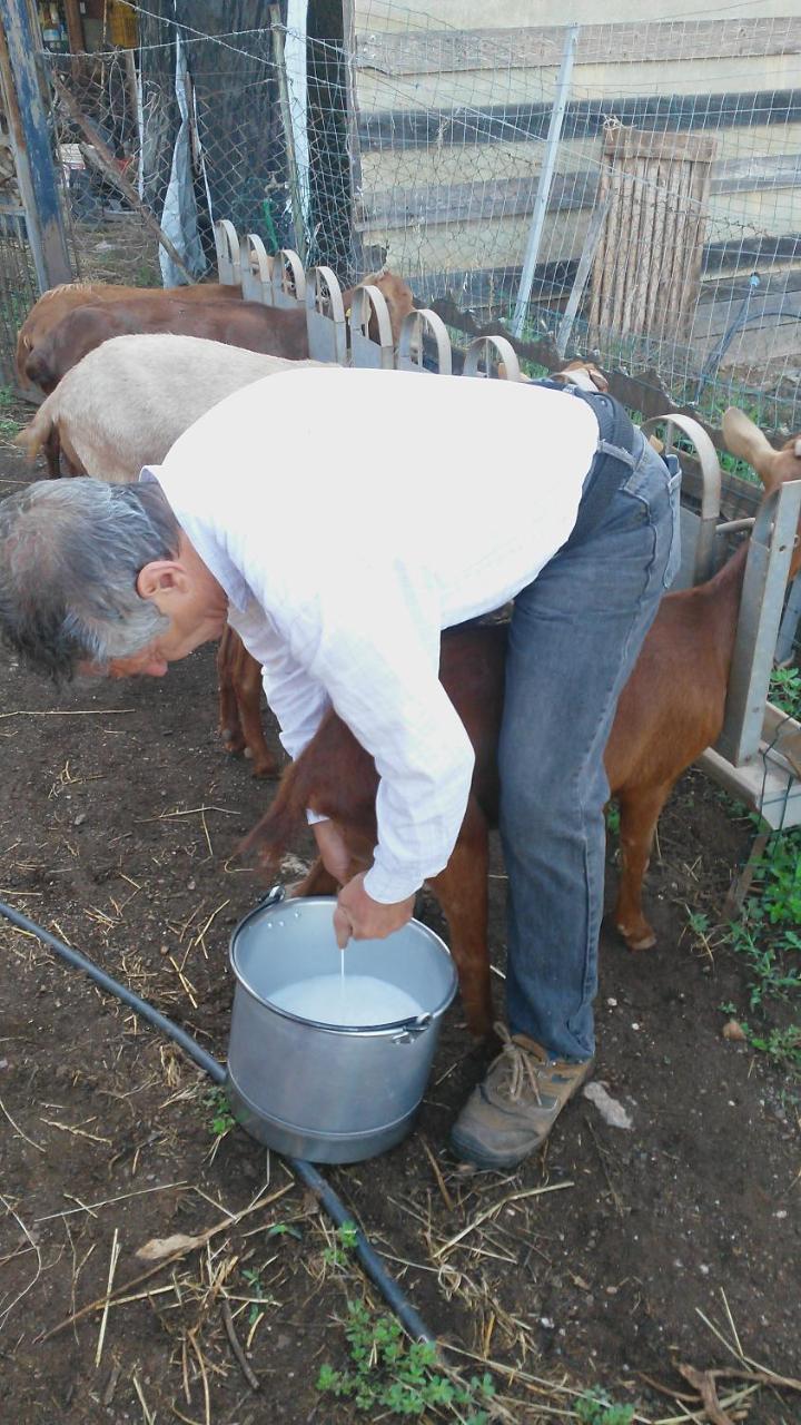 Nurazzolas Villaputzu Bagian luar foto
